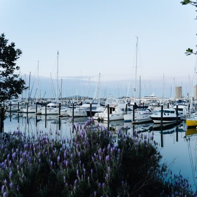 670653-westhaven-marina
