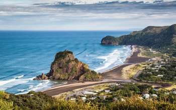 c59b8941-bb05-4064-a55d-82cda878eed0_private-aucklands-west-coast--piha-muriwai--wild-west-tour