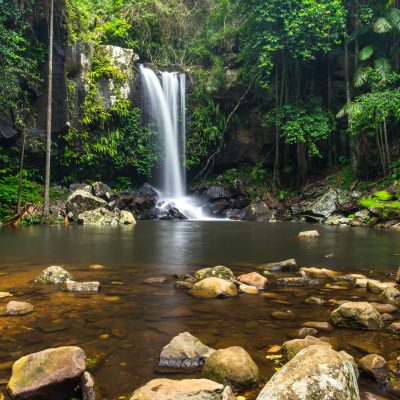 Curtis Falls a popular waterfall in Tamborine National Park on Mount Tamborine in the Gold Coast Hinterland, Queensland, Australia